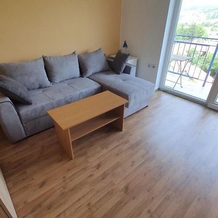 Vila Lav Sokobanja Zimmer foto